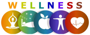 Wellness Survey