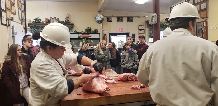 Foods students watching trimming