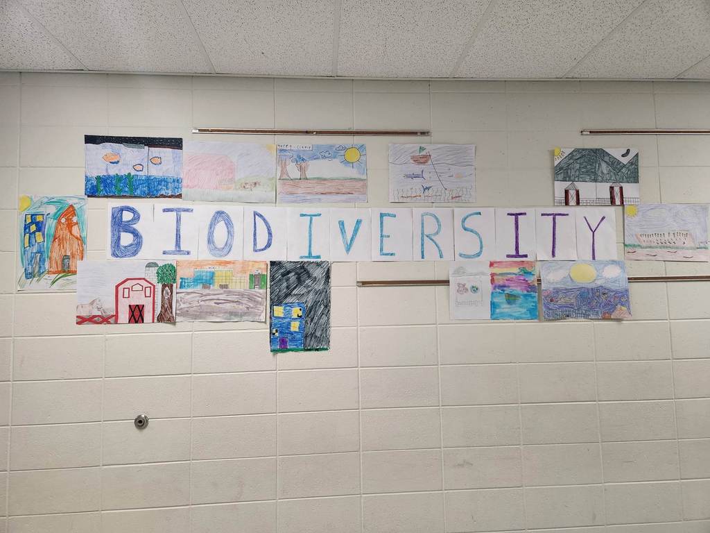 7th grade biodiversity sign display